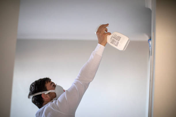 Best Best Mold Removal Companies  in Marquette Heights, IL